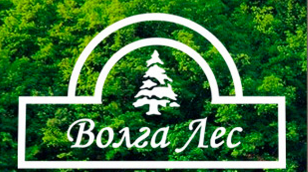 Компания волга. Логотип Волга лес. Волга лес Волжский. Лесобаза логотип. ООО Волга лес Кострома.