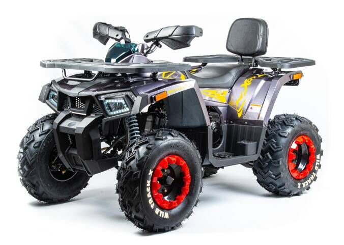Квадроцикл Motoland ATV 200 WILD TRACK X (2020г.)