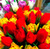 Букет тюльпанов к 8 марта #2